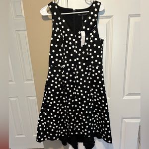 White House Black Market Women’s Taylor style black dress with white polka dots